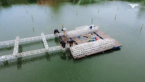 quy-trinh-to-chuc-su-kien