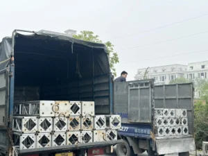 cho-thue-thiet-bi-su-kien